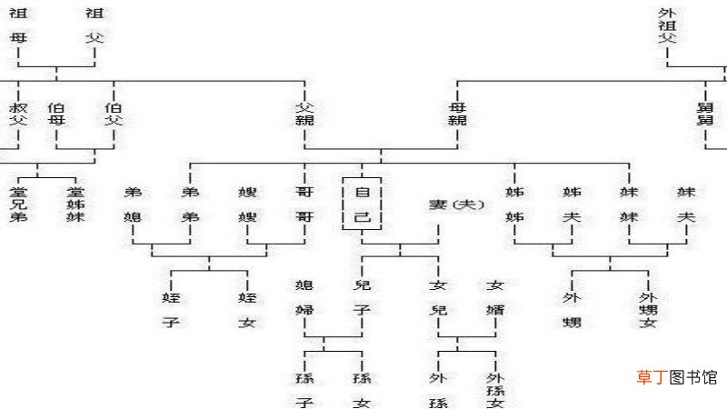 叔叔是爸爸的什么人