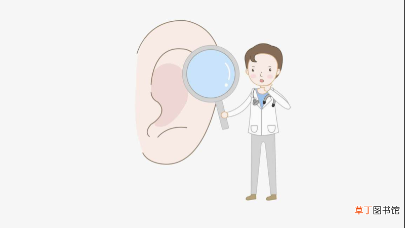 五种感官指什么