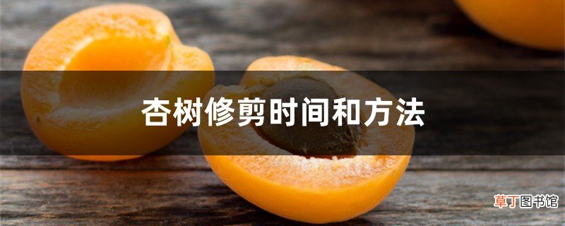 杏树修剪时间和方法
