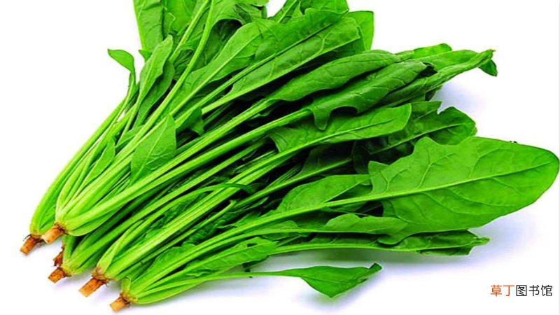 菠菜怎么处理