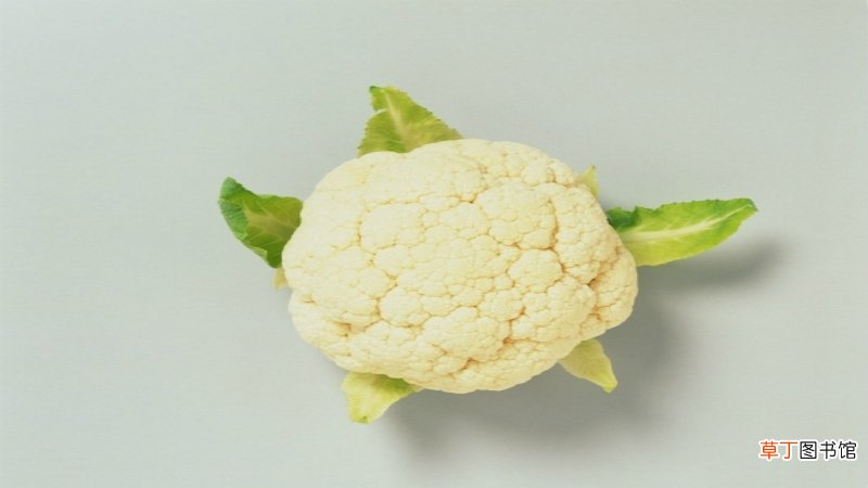 花菜上的黑点点是什么