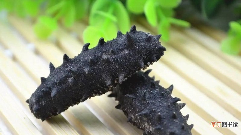 新鲜海参的做法