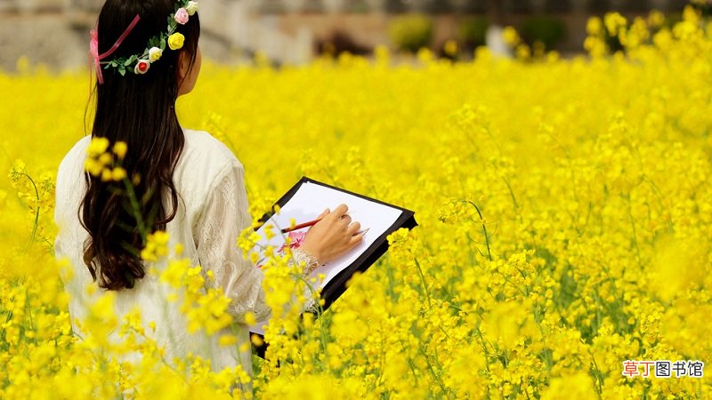 春季适合种什么蔬菜