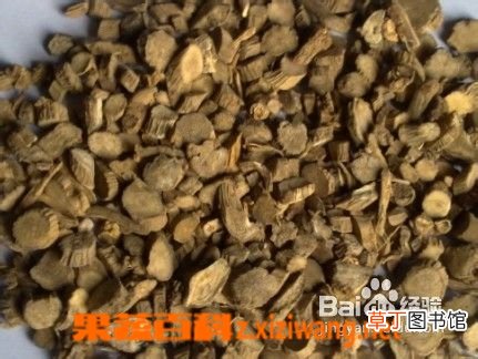 牛膝的功效