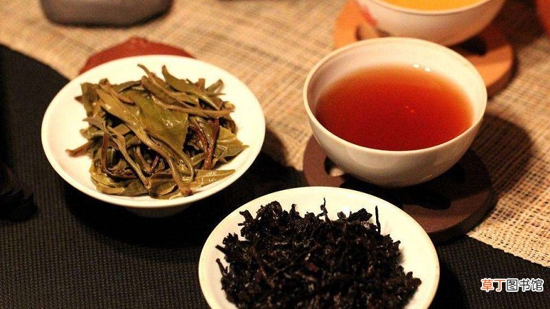 普洱茶可以做奶茶吗