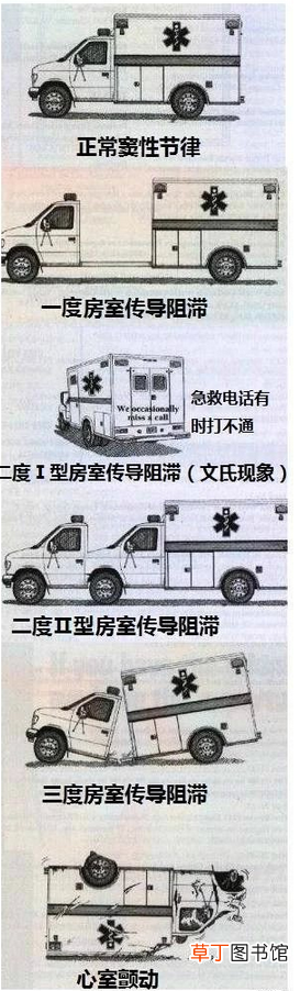 心血管系统 心血管系统详解知识点