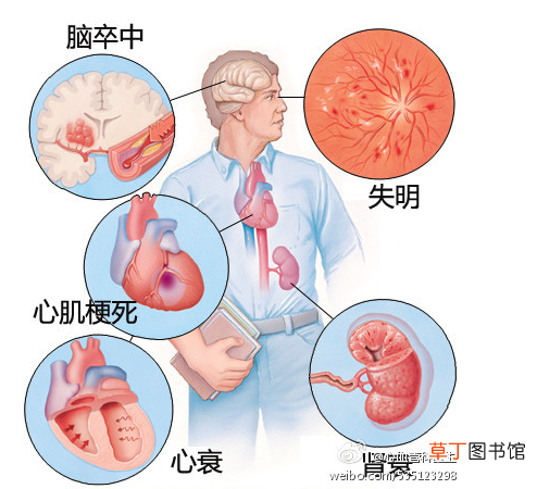 心血管系统 心血管系统详解知识点