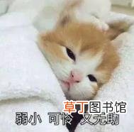 鸡腿蒸20分钟能熟吗 蒸鸡肉要多久