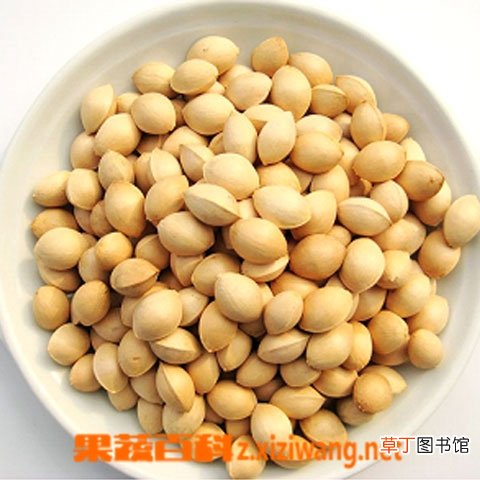 白果的作用和副作用