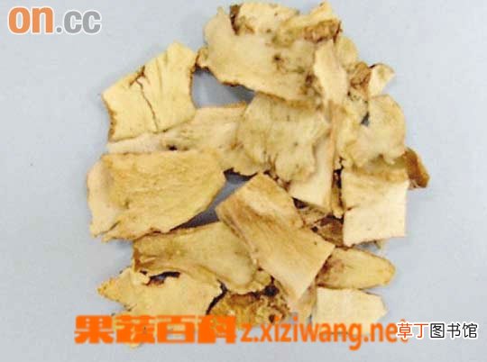 知母的功效和作用