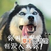 中国灵车 看股民如何将”中国神车“吐槽成”中国灵车“