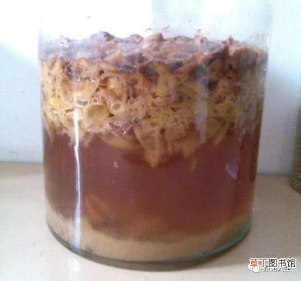 如何酿制葡萄酒 葡萄酒不用买，学会这几招