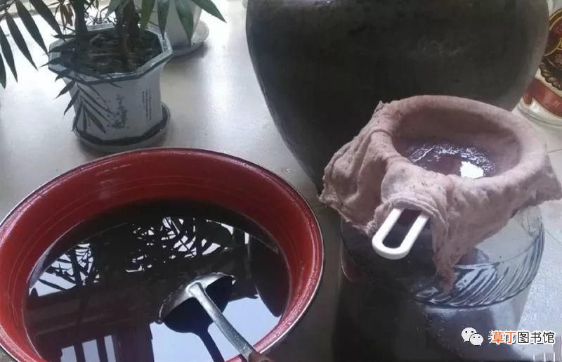 如何酿制葡萄酒 葡萄酒不用买，学会这几招