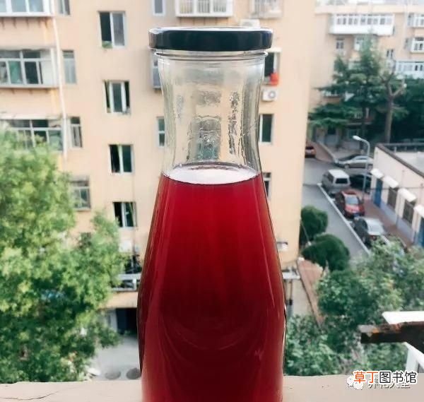 如何酿制葡萄酒 葡萄酒不用买，学会这几招