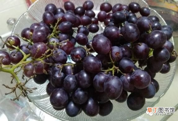 如何酿制葡萄酒 葡萄酒不用买，学会这几招