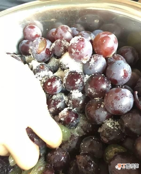 如何酿制葡萄酒 葡萄酒不用买，学会这几招