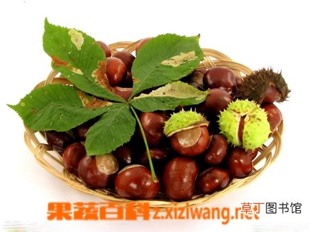 板栗的作用