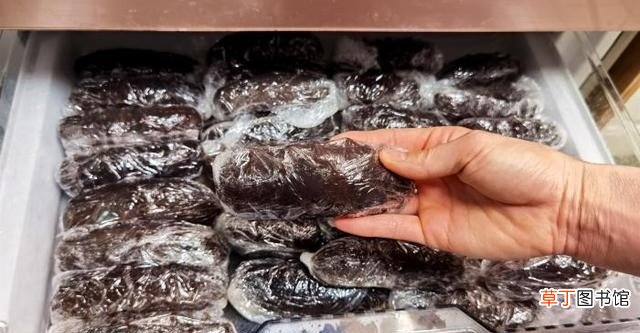 海参泡发方法最全面的教程 干海参如何泡发