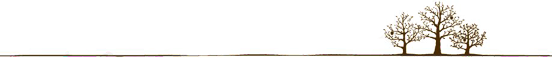 四大名园 中国最美四大名园