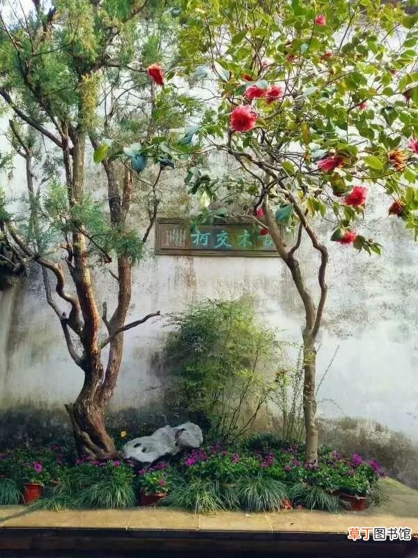 四大名园 中国最美四大名园
