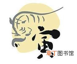虎宝宝忌什么属相兄妹?虎和什么属相做兄妹