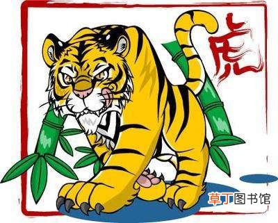 2022虎百年难遇是什么意思?2022年是60年一遇的虎宝宝