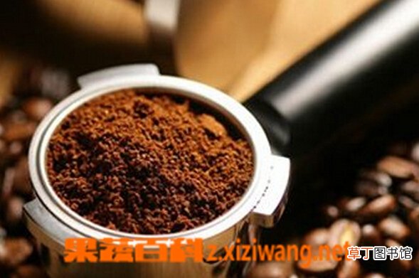 咖啡灌肠的好处和坏处