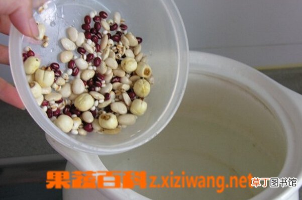 莲子薏米红豆粥功效和做法