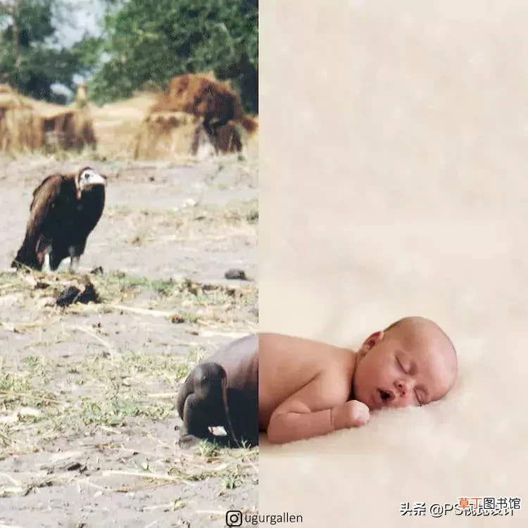 ps创意图片 这是我见过创意最好的PS照片……