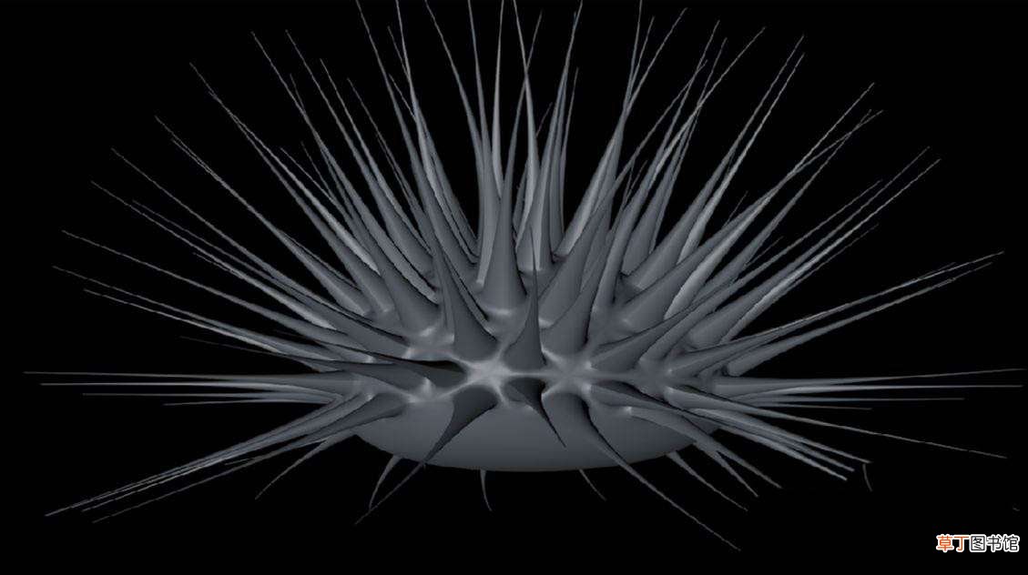 C4D建模三维立体的海胆的技巧 C4D怎么建模海胆模型?