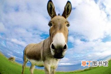你我贷上征信吗 马上贷审核多久