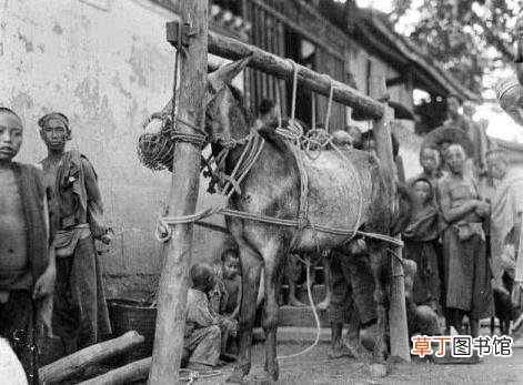 四维几个月做最合适 四维多久出结果