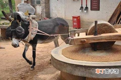 四维几个月做最合适 四维多久出结果