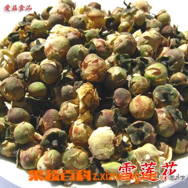雪莲花的功效与作用