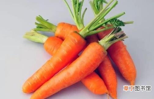 坐月子营养又不发胖的食物 不妨吃吃胡萝卜