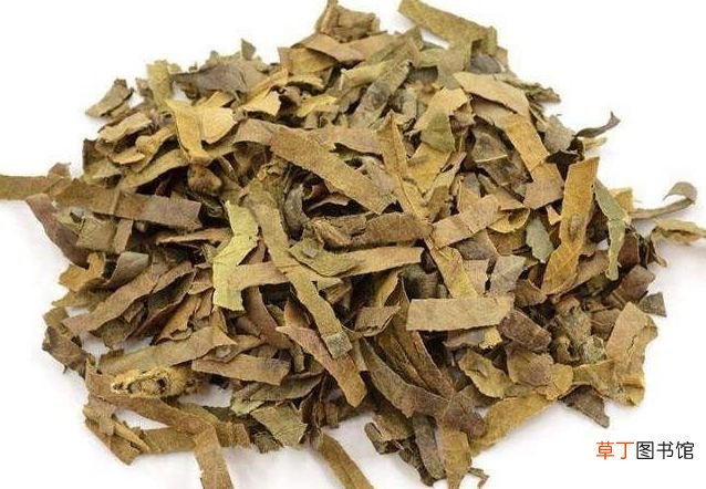 枇杷叶的功效与作用 清肺止咳：枇杷叶的功效与应用