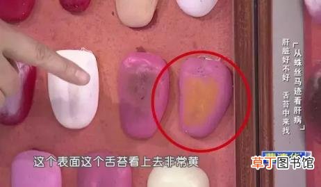 跑步多久才能起到燃脂 减肥每天运动多久