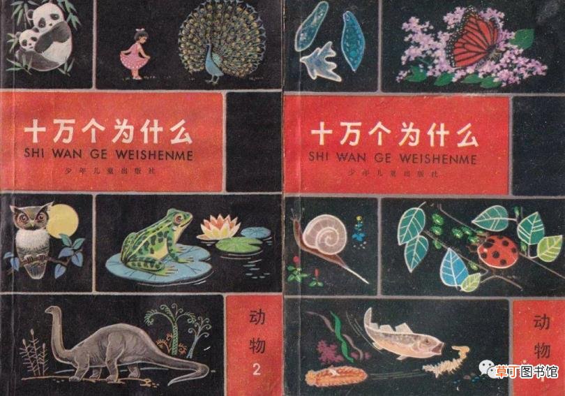 纹眉几百块钱和一千多的区别 半永久纹眉能维持多久