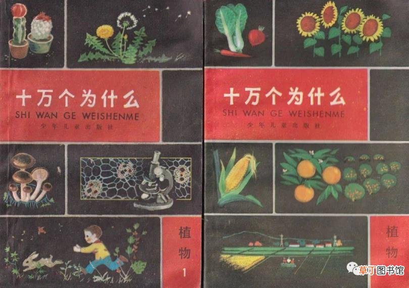 纹眉几百块钱和一千多的区别 半永久纹眉能维持多久