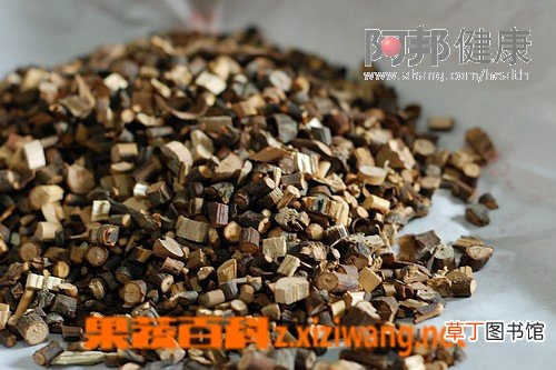 桂枝的功效与作用