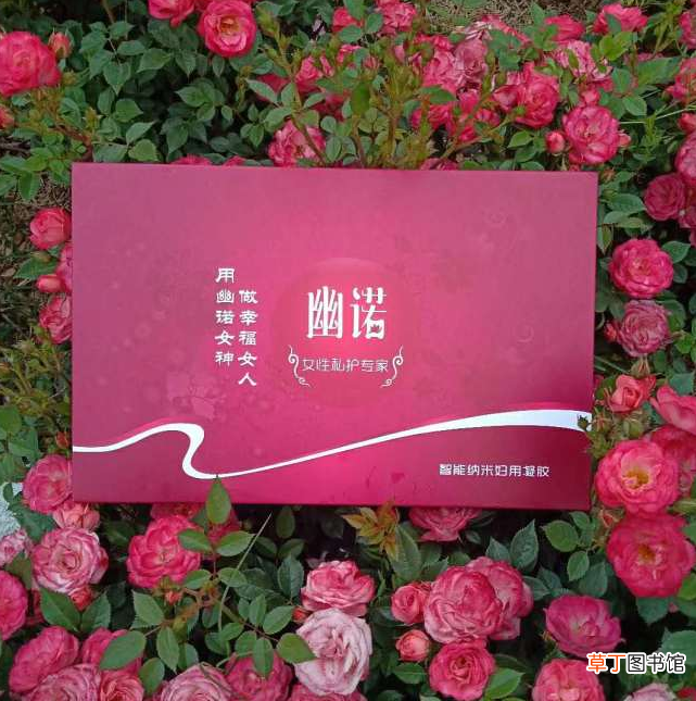 幽诺女神的功效和作用