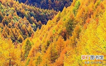 望江楼望江流 两个千古绝对“望江楼”、“上海自来水”，如何对下联？