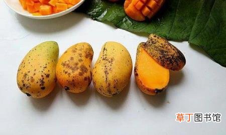 茄泥咸菜能放多长时间 茄子能放多久