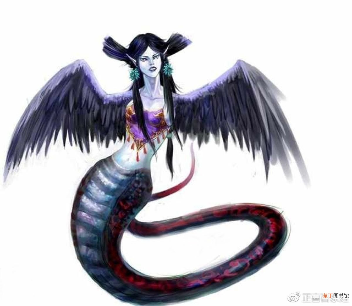 山海经异兽图 美得不可理喻的山海经中的奇珍异兽！
