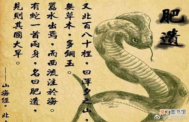 山海经异兽图 美得不可理喻的山海经中的奇珍异兽！