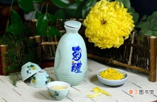 重阳节为什么叫老人节?重阳节可以为老人做些什么
