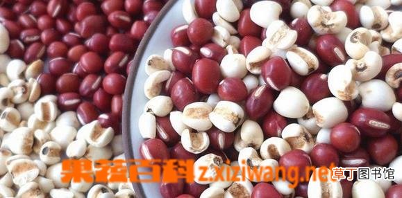 薏米红豆粥的材料和做法 薏米红豆粥如何做好吃