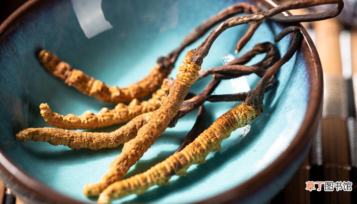 梦见油炸虫草