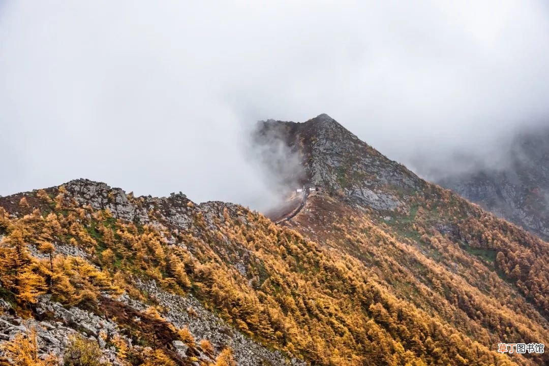 秦岭淮河一线 秦岭淮河凭什么是南北分界线