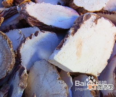 前胡的功效与作用